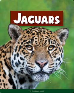 Jaguars