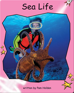 Sea Life