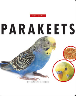 Parakeets
