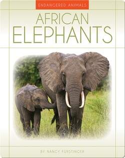 African Elephants