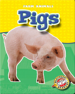 Pigs