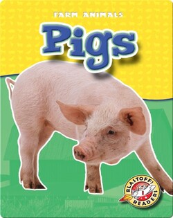 Pigs