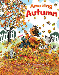 Amazing Autumn