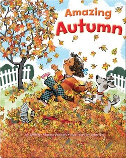 Amazing Autumn