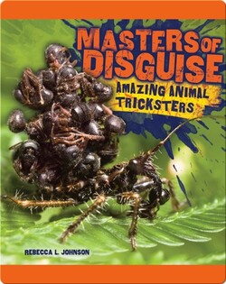 Masters of Disguise: Amazing Animal Tricksters