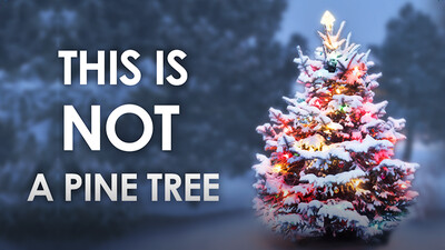 This Is Not a Pine Tree