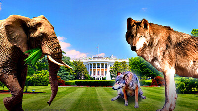 How to Keep Elephants and Wolves Out of Your Yard
