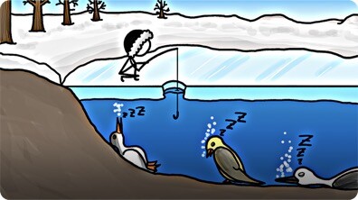 Birds that Hibernate in Lakes?!