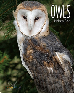 Owls