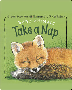 Baby Animals Take a Nap