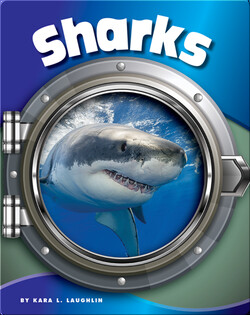 Sharks