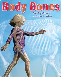 Body Bones