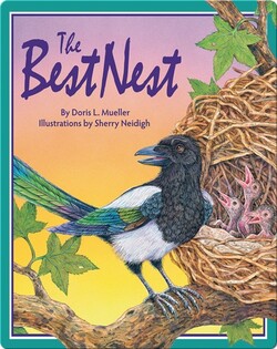 The Best Nest