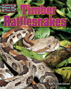 Timber Rattlesnakes