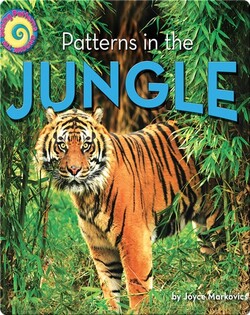 Patterns in the Jungle