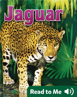 Jaguar