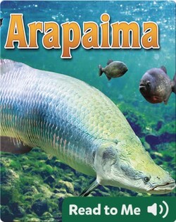 Arapaima