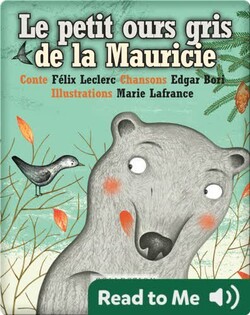 Le petit ours gris de la Mauricie