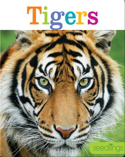 Tigers