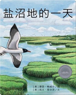盐沼地的一天
