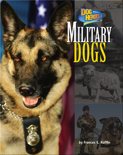 Military Dogs