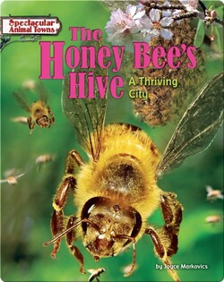 The Honey Bee's Hive: A Thriving City
