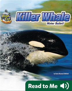Killer Whale: Water Bullet!