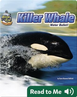 Killer Whale: Water Bullet!