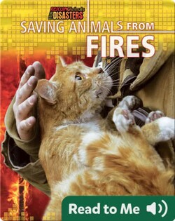 Saving Animals from Fires