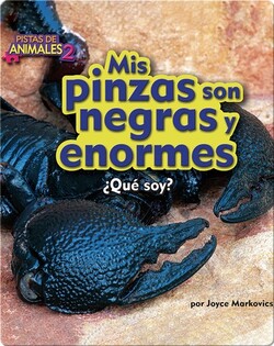 Mis pinzas son negras y enormes (scorpion)