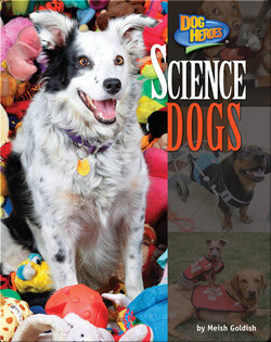 Science Dogs