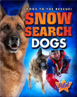 Snow Search Dogs