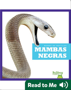 Mambas negras (Black Mambas)