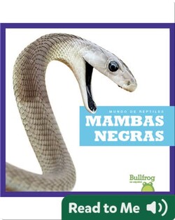 Mambas negras (Black Mambas)