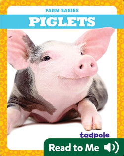 Piglets