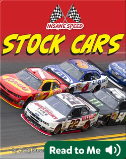 Insane Speed- Stock Cars