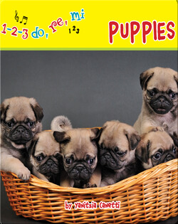 Puppies