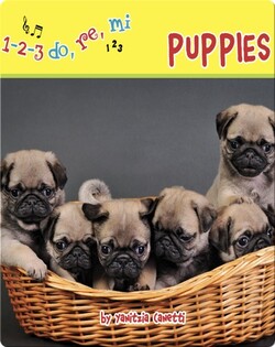 Puppies