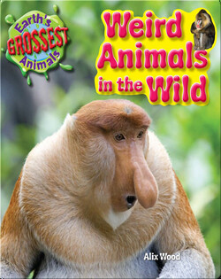 Weird Animals in the Wild