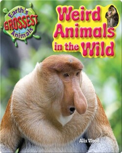 Weird Animals in the Wild