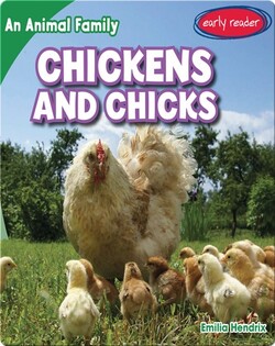 Chickens and Chicks