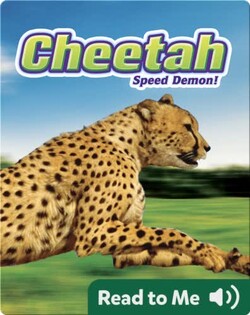 Cheetah: Speed Demon!
