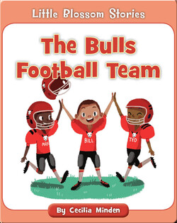 The Bulls Football Team