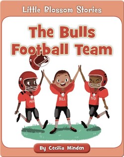 The Bulls Football Team