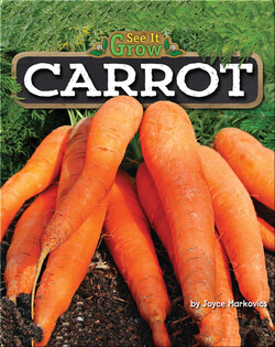 Carrot