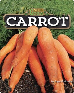 Carrot