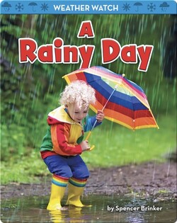 A Rainy Day