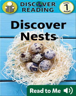 Discover Nests