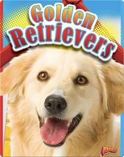 Golden Retrievers