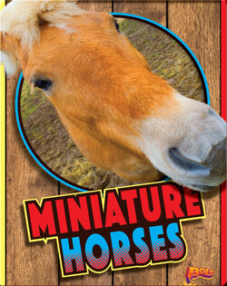 Miniature Horses